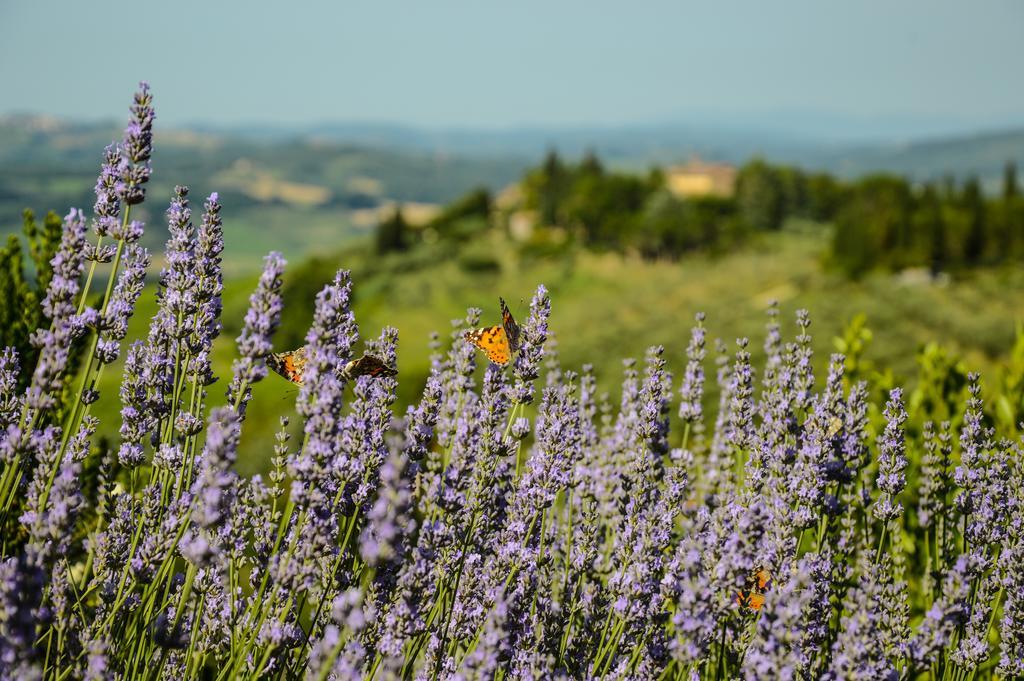 Adalberto San Gimignano Bagian luar foto