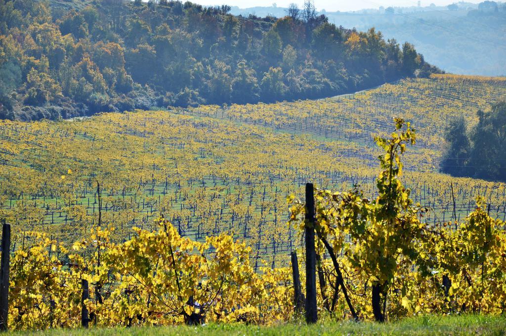 Adalberto San Gimignano Bagian luar foto